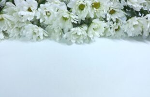 葬儀の豆知識